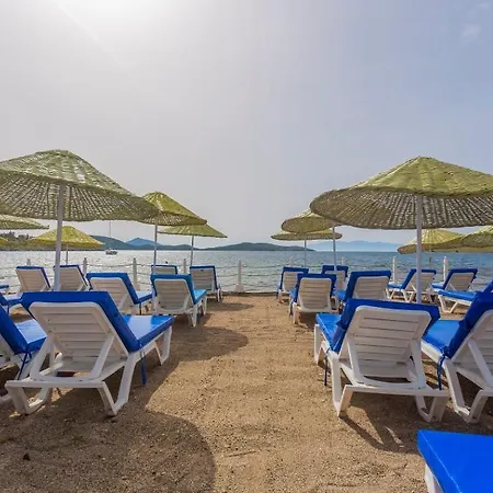 Club Muskebi 博德鲁姆