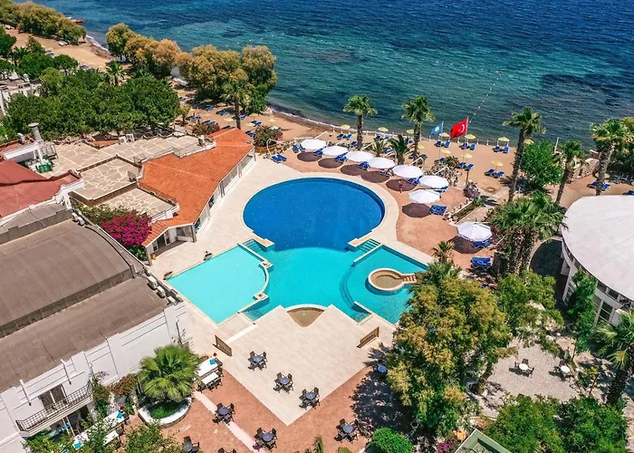 Club Muskebi Αλικαρνασσός