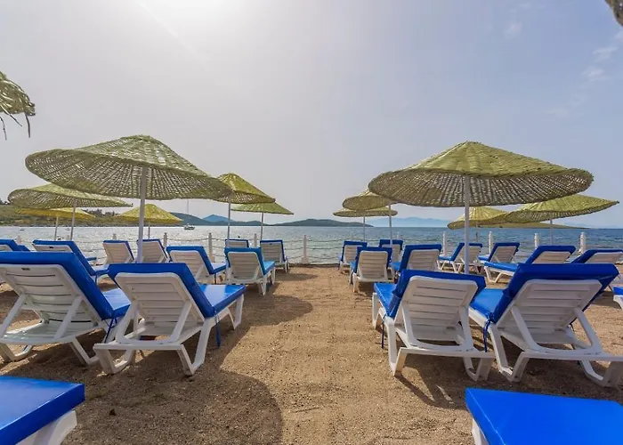 Club Muskebi Αλικαρνασσός