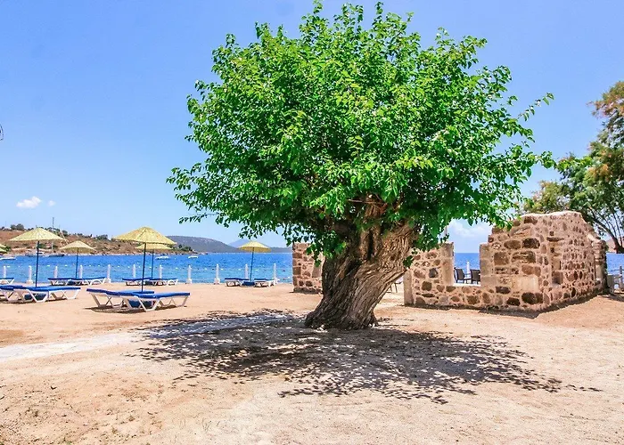 Club Muskebi Ξενοδοχείο 4*