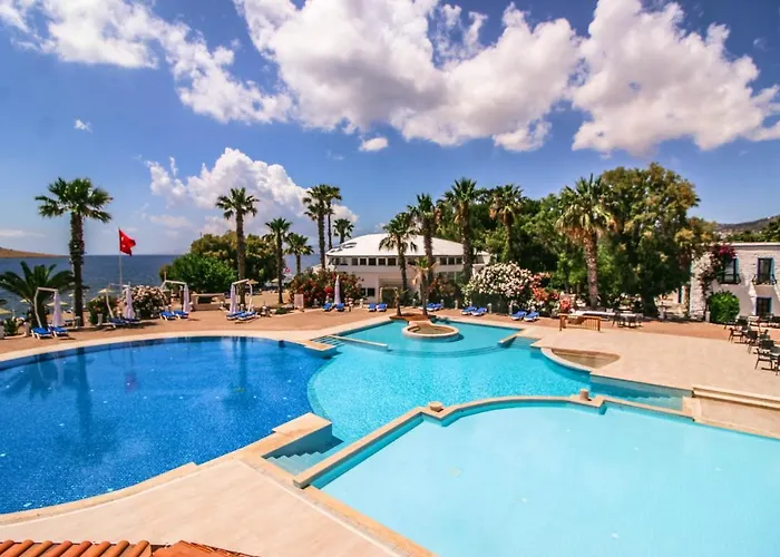 Club Muskebi Αλικαρνασσός