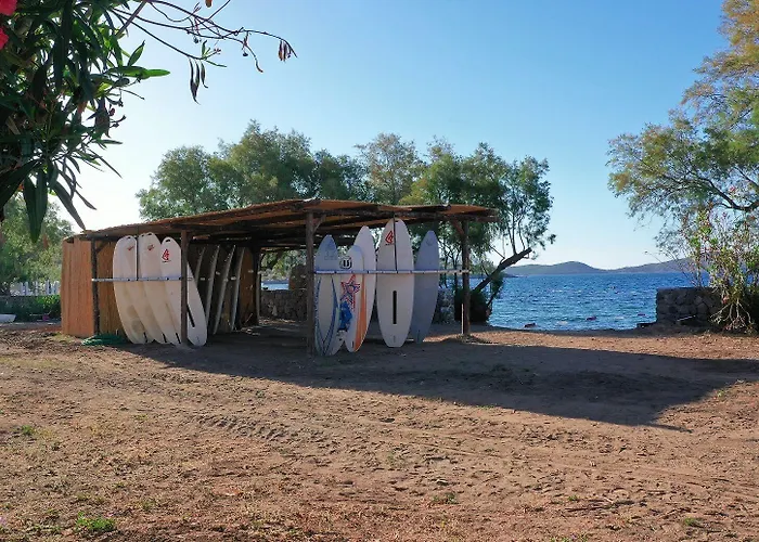 Club Muskebi Αλικαρνασσός