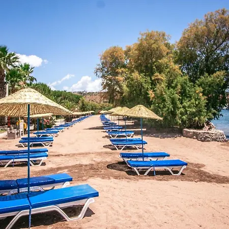 호텔 Club Muskebi Bodrum