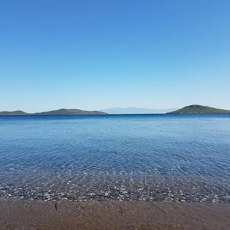 Club Muskebi فندق