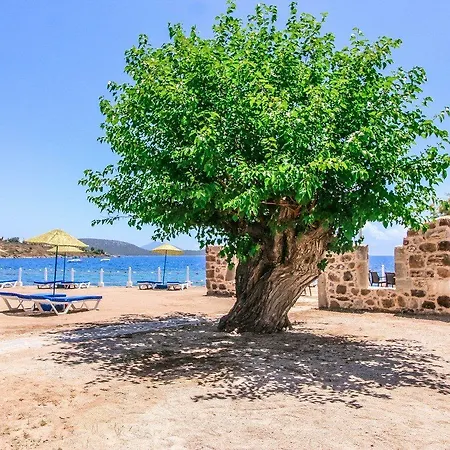 Club Muskebi 호텔 4*