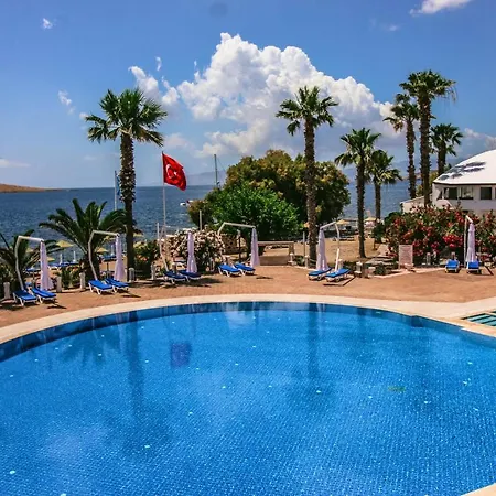 Club Muskebi 4*