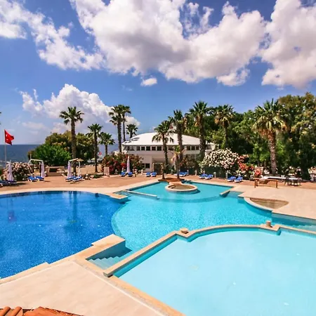 Club Muskebi بودروم