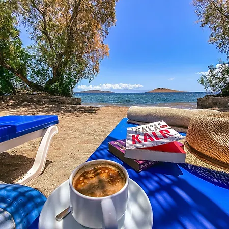 Club Muskebi 호텔 Bodrum