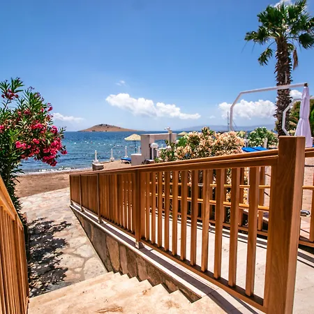 Otel Club Muskebi