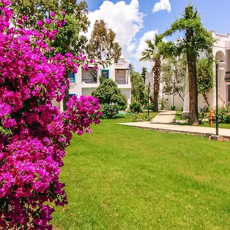 فندق Club Muskebi 4*