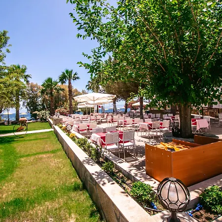 Club Muskebi Bodrum