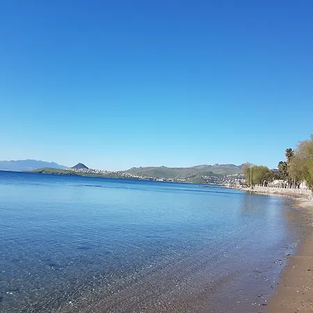 Hotel Club Muskebi Bodrum