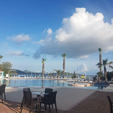 Club Muskebi بودروم