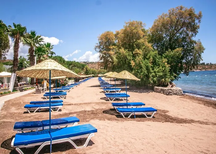 Hotel Club Muskebi Bodrum