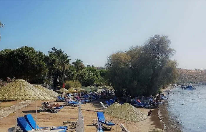 Hotel Club Muskebi 4*