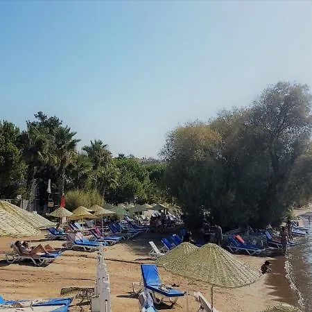 מלון Club Muskebi 4*