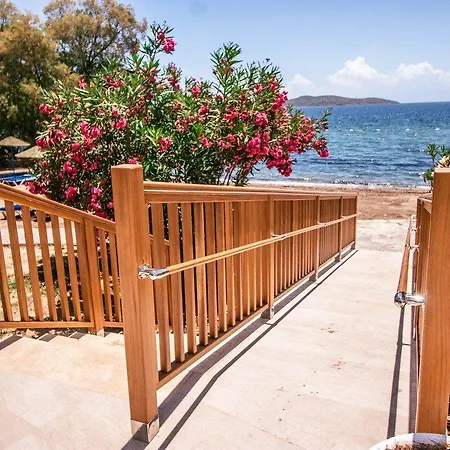 מלון Club Muskebi