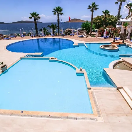 Club Muskebi בודרום