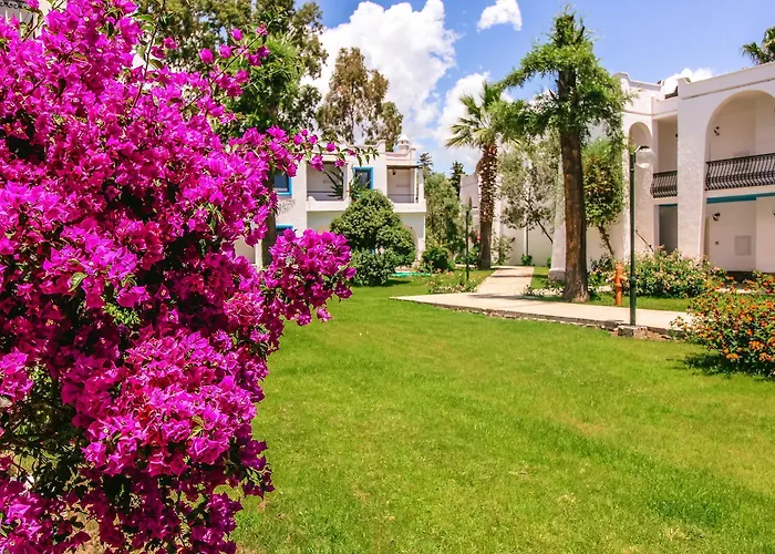 Hotel Club Muskebi 4*